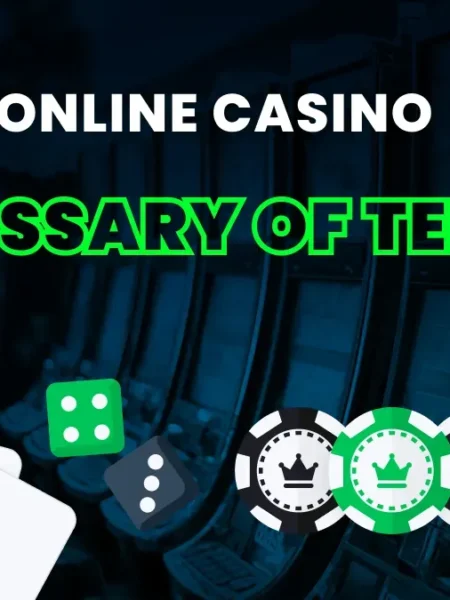 Casino Lingo 101: Master Essential Gambling Terms on Maya Casino